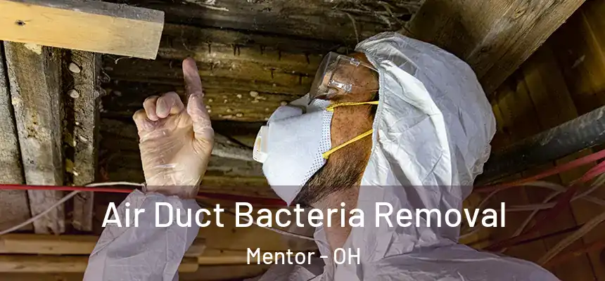  Air Duct Bacteria Removal Mentor - OH