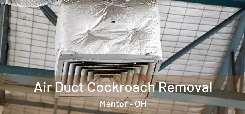  Air Duct Cockroach Removal Mentor - OH