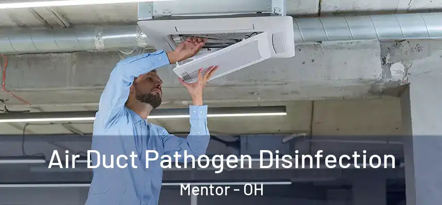  Air Duct Pathogen Disinfection Mentor - OH