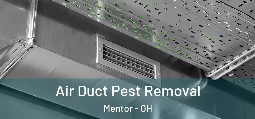  Air Duct Pest Removal Mentor - OH