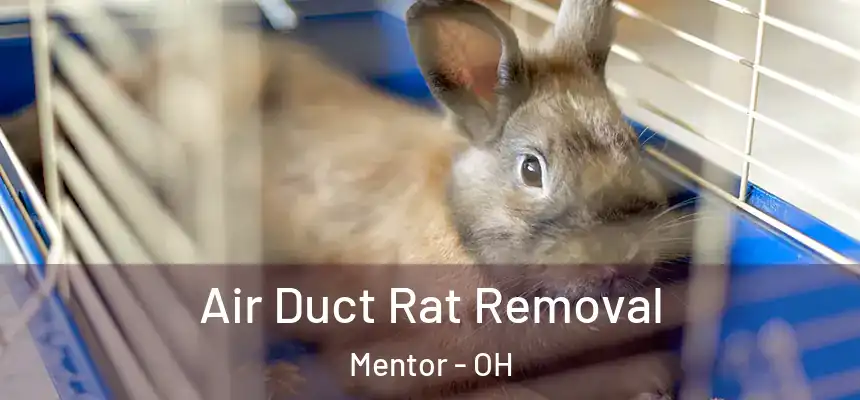  Air Duct Rat Removal Mentor - OH