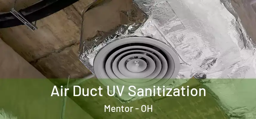 Air Duct UV Sanitization Mentor - OH