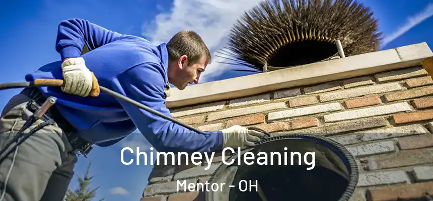 Chimney Cleaning Mentor - OH