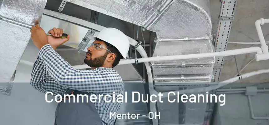  Commercial Duct Cleaning Mentor - OH