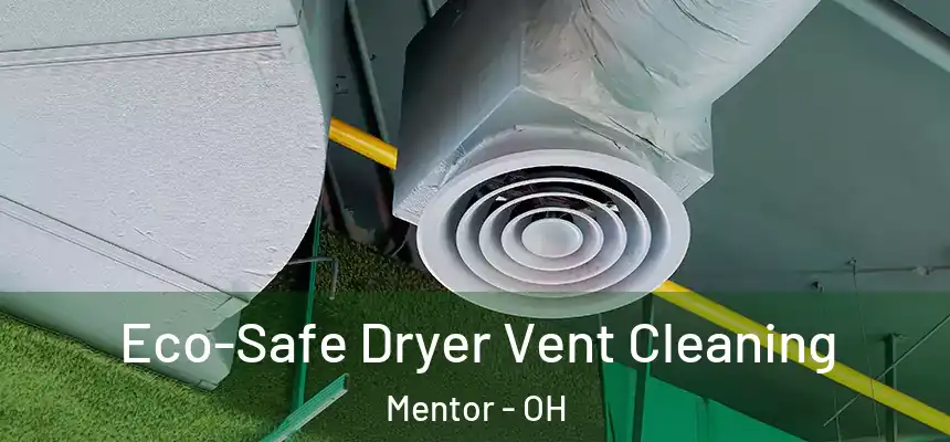  Eco-Safe Dryer Vent Cleaning Mentor - OH
