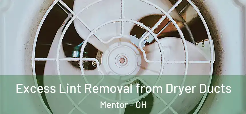  Excess Lint Removal from Dryer Ducts Mentor - OH