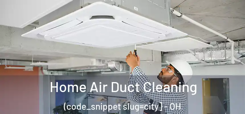  Home Air Duct Cleaning (code_snippet slug=city] - OH