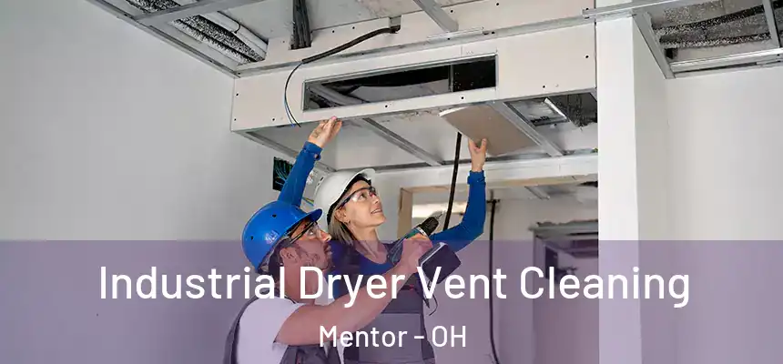  Industrial Dryer Vent Cleaning Mentor - OH