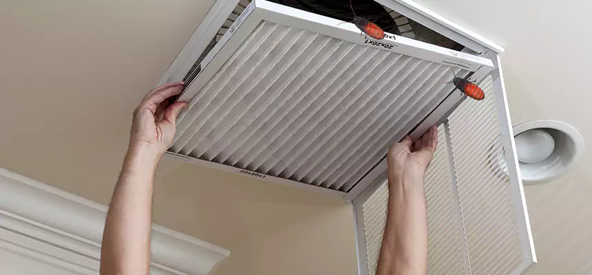 Preventive Cockroach-Proofing for Ducts in Mentor