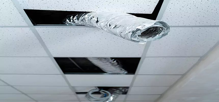 Affordable HVAC Sanitizing After Pest Removal in Mentor