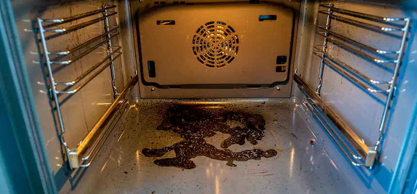 Our Dryer Vent Mold Cleaning Services in Mentor, OH