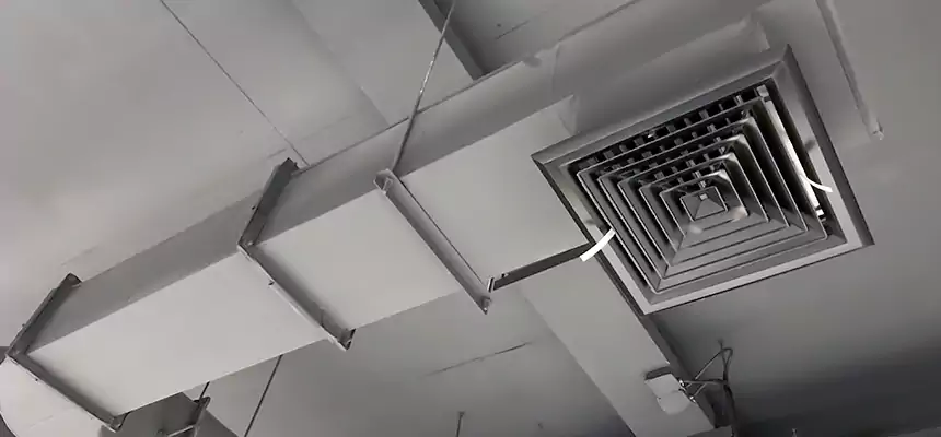 Our Pest Removal From Ducts Services in Mentor, OH