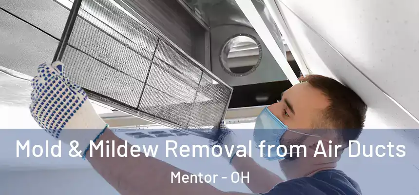 Mold & Mildew Removal from Air Ducts Mentor - OH