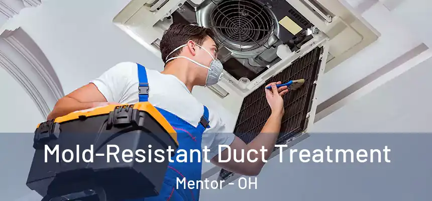  Mold-Resistant Duct Treatment Mentor - OH