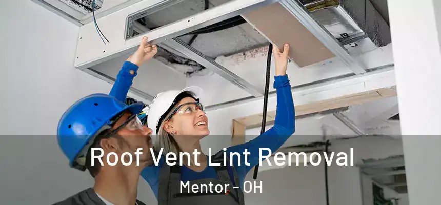  Roof Vent Lint Removal Mentor - OH