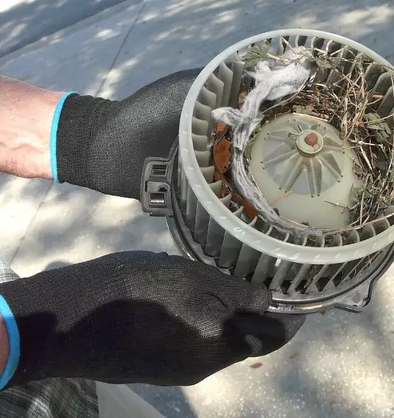 About Air Duct Mice Removal in Mentor, OH