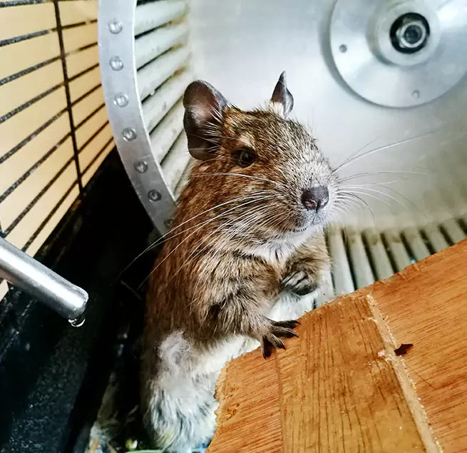 Why Homeowners & Businesses Trust Us Mentor, OH?