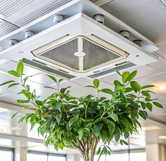 Why Homeowners & Businesses Trust Us in Mentor, OH