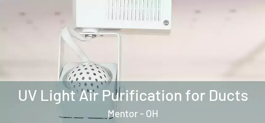  UV Light Air Purification for Ducts Mentor - OH