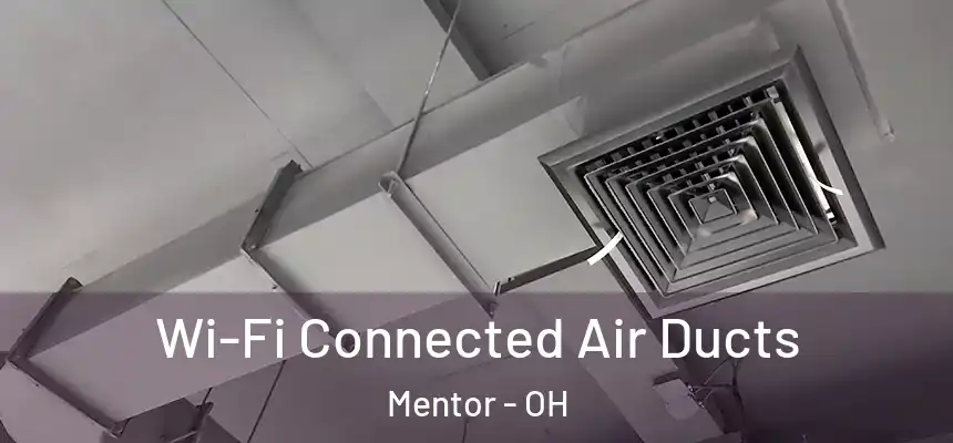  Wi-Fi Connected Air Ducts Mentor - OH